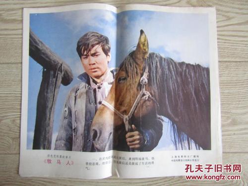 厄巴那大学会计文凭证书